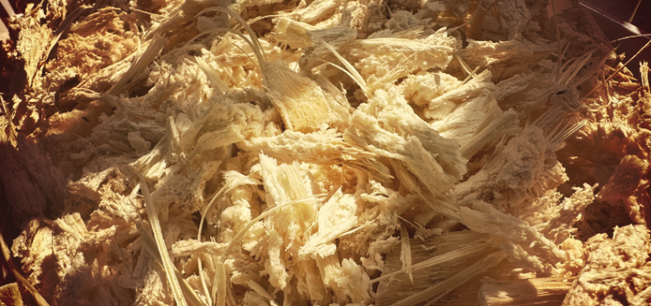 尊龙凯时(中国)人生就是搏!