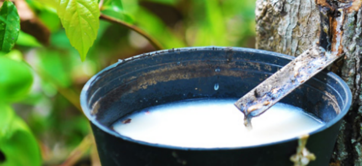 尊龙凯时(中国)人生就是搏!