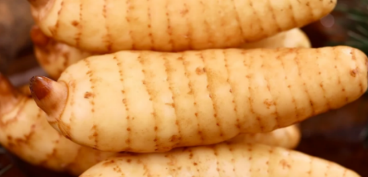 尊龙凯时(中国)人生就是搏!