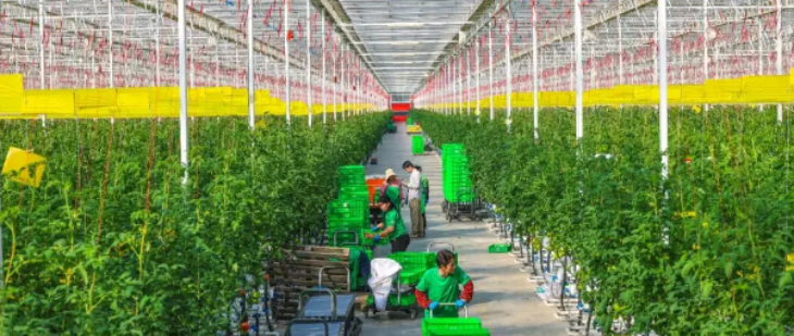 尊龙凯时(中国)人生就是搏!