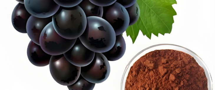 ×ðÁú¿Ê±(Öйú)ÈËÉú¾ÍÊDz«!