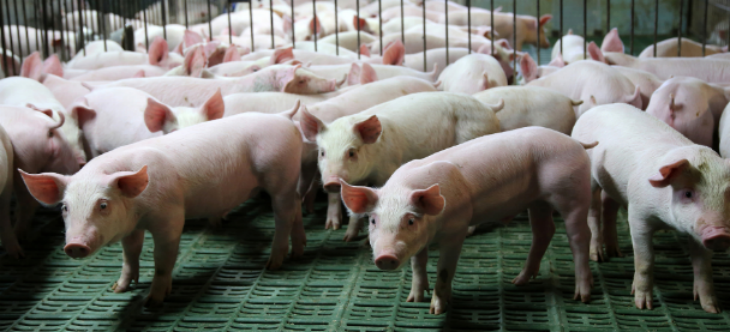 尊龙凯时(中国)人生就是搏!