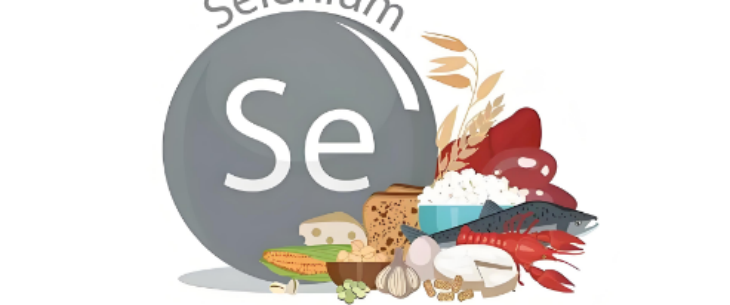 ×ðÁú¿Ê±(Öйú)ÈËÉú¾ÍÊDz«!