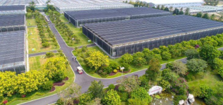 ×ðÁú¿Ê±(Öйú)ÈËÉú¾ÍÊDz«!