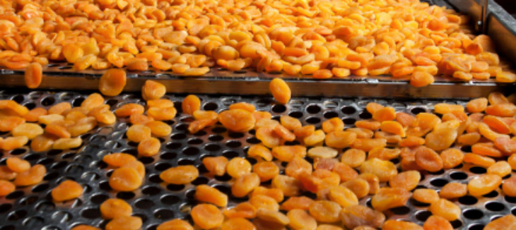 尊龙凯时(中国)人生就是搏!