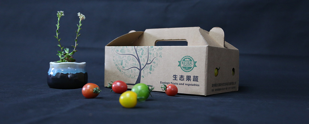 首页| 2003网站太阳集团接待您!