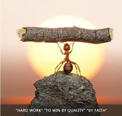 首页| 2003网站太阳集团接待您!